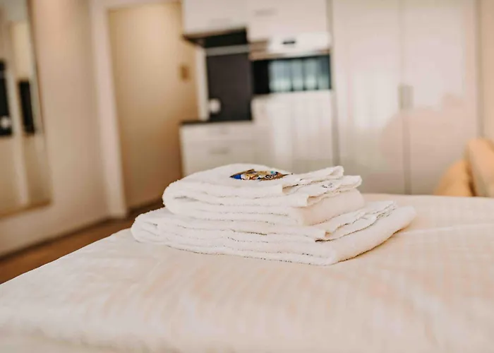 Haus Vier Jahreszeiten Am Hs 939 公寓 戈斯拉尔